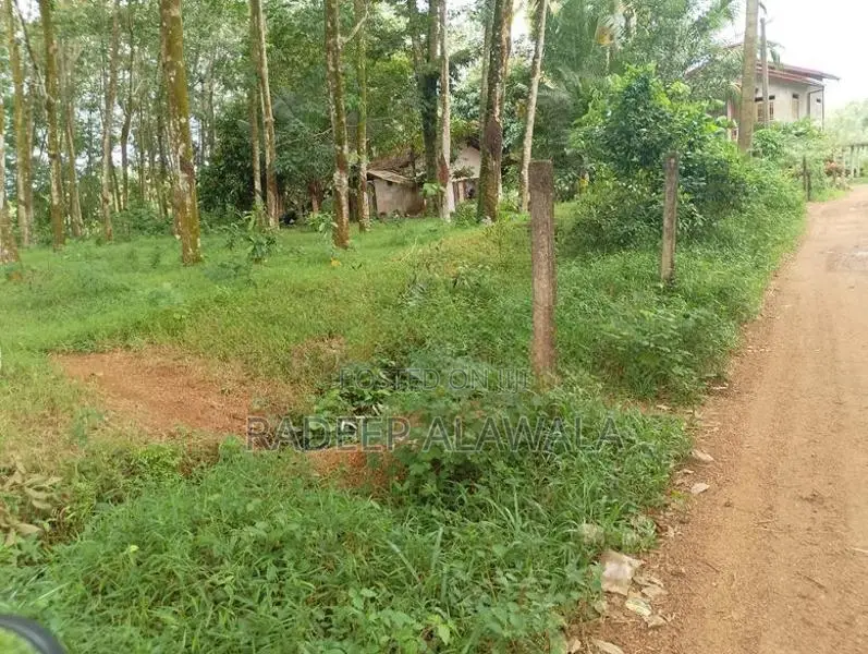කිරිඳිවැල අවටින් වටිනා ඉඩමක් විකිණීමට