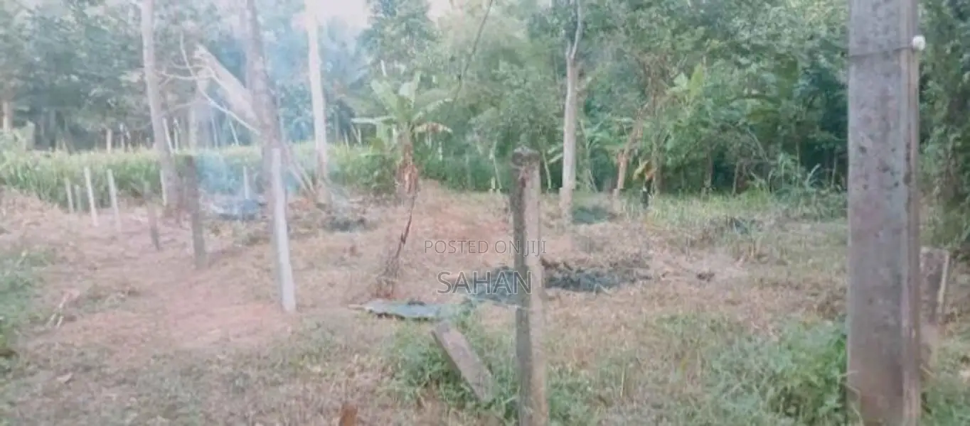 Land For Sale In Divulapitiya