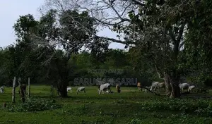 காணி நிலம் விற்பனைக்கு புல்லுமலை