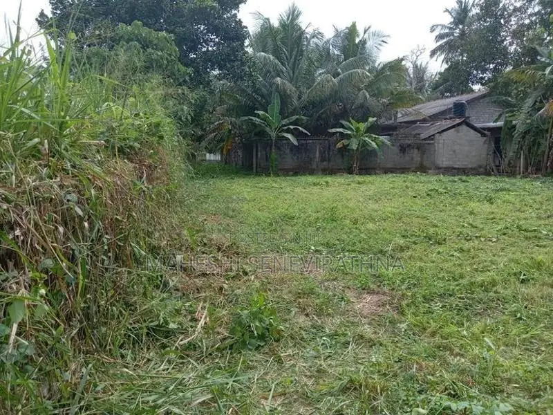මිනුවන්ගොඩ වටිනා ඉඩමක් විකිණීමට