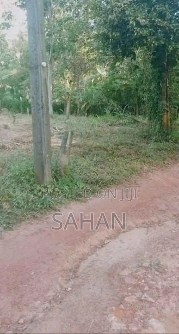 Land For Sale In Divulapitiya