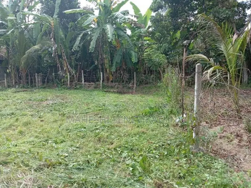 මිනුවන්ගොඩ වටිනා ඉඩමක් විකිණීමට