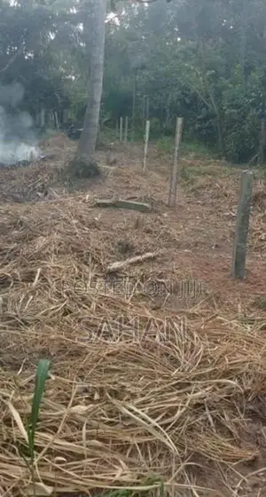 Land For Sale In Divulapitiya