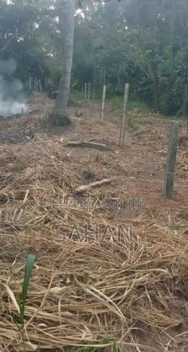 Land For Sale In Divulapitiya