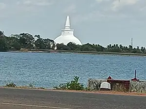 අනුරාධපුර පූජා නගරයේ අගනා ඉඩමක් විකිණීමට