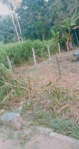 Land For Sale In Divulapitiya