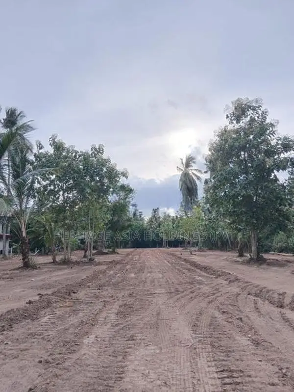 අනුරාධපුරයෙන් ඉඩමක්