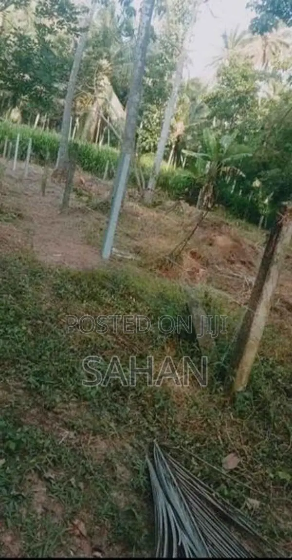 Land For Sale In Divulapitiya