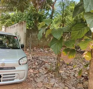 අනුරාධපුර පූජා නගරයේ අගනා ඉඩමක් විකිණීමට