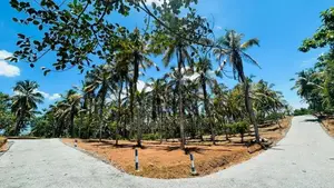 කෑස්බෑව නගරය ආසන්නයේන් වටිනා ඉඩම් ව්‍යාපෘතියක්