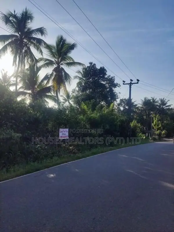 50-Perch Land for Sale in Naranowita, Elpitiya