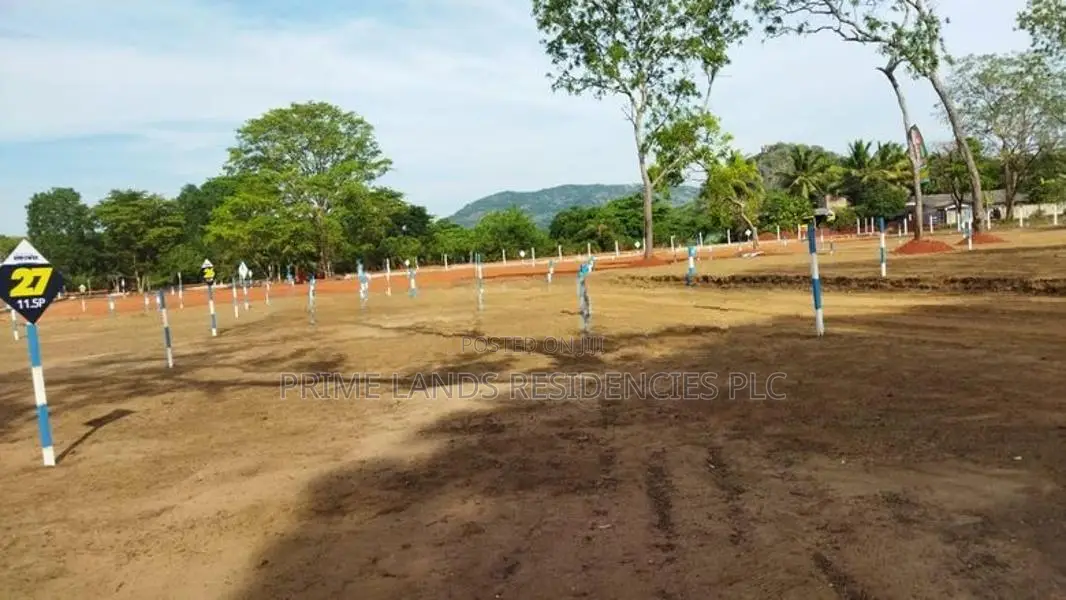 මරදන්කඩවල නගරයෙන්ම සින්නක්කර බිම්කොටස් විකිණීමට