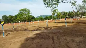 මරදන්කඩවල නගරයෙන්ම සින්නක්කර බිම්කොටස් විකිණීමට