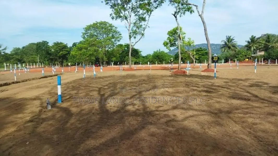 මරදන්කඩවල නගරයෙන්ම සින්නක්කර බිම්කොටස් විකිණීමට