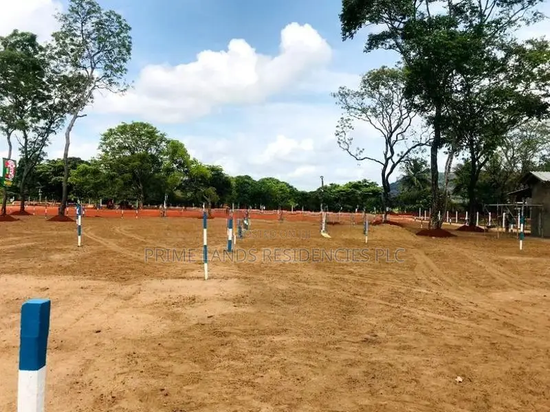 මරදන්කඩවල නගරයෙන්ම සින්නක්කර බිම්කොටස් විකිණීමට