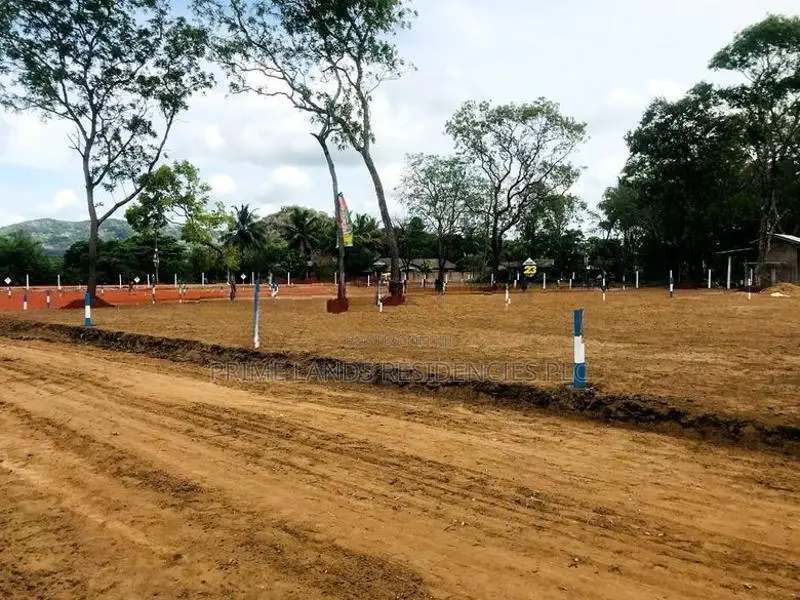 මරදන්කඩවල නගරයෙන්ම සින්නක්කර බිම්කොටස් විකිණීමට