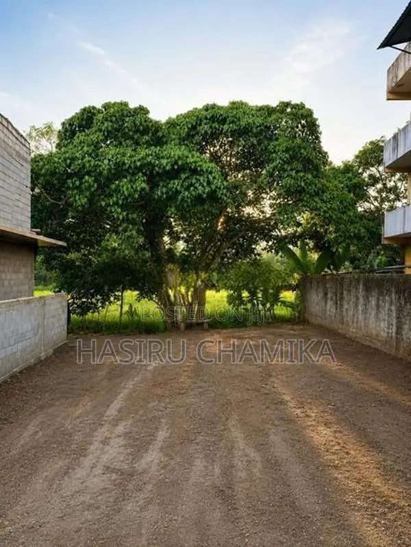 Paddy Front Land for Sale 8.7 Perches | Madapatha, Piliyandala