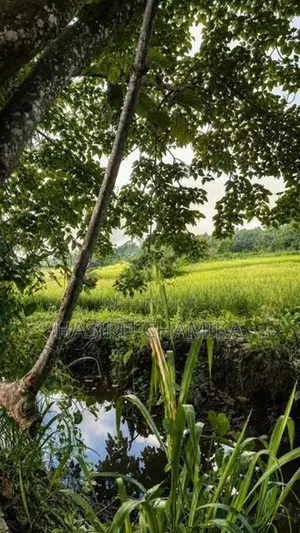 Paddy Front Land for Sale 8.7 Perches | Madapatha, Piliyandala