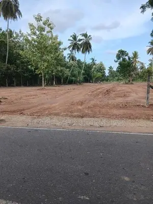 පුජා නගරය පෙනෙන දුරින් ඉඩමක් අනුරාධපුර