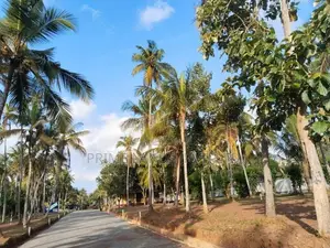 Land for Sale in Dankotuwa