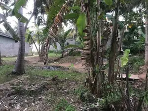 Land for Sale Thambuttegama