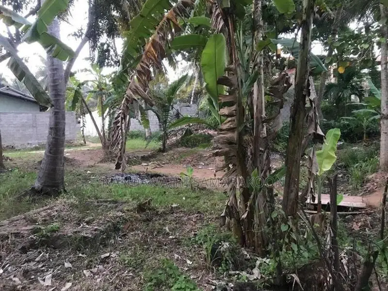 Land for Sale Thambuttegama