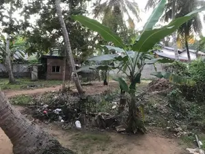 Land for Sale Thambuttegama