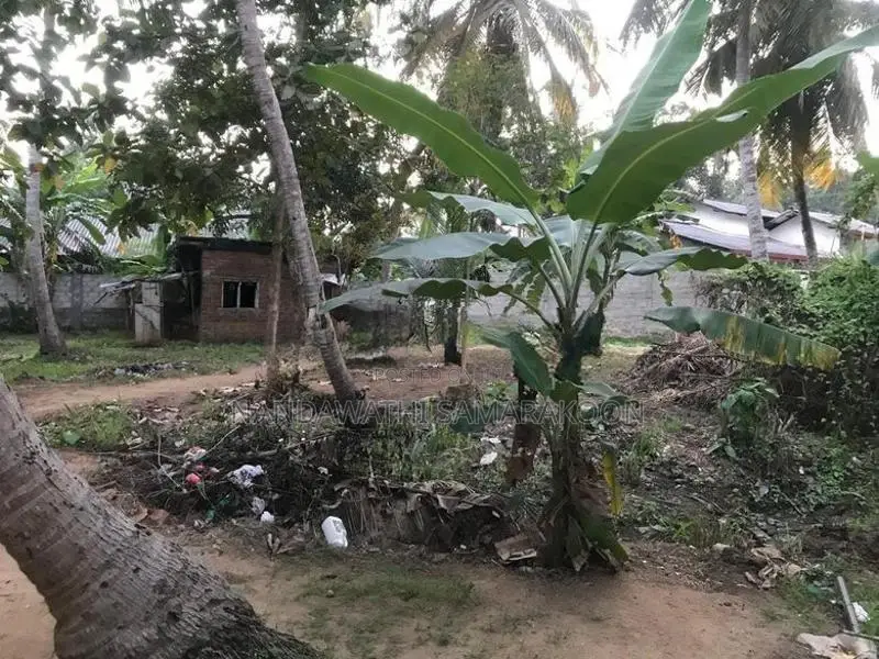 Land for Sale Thambuttegama