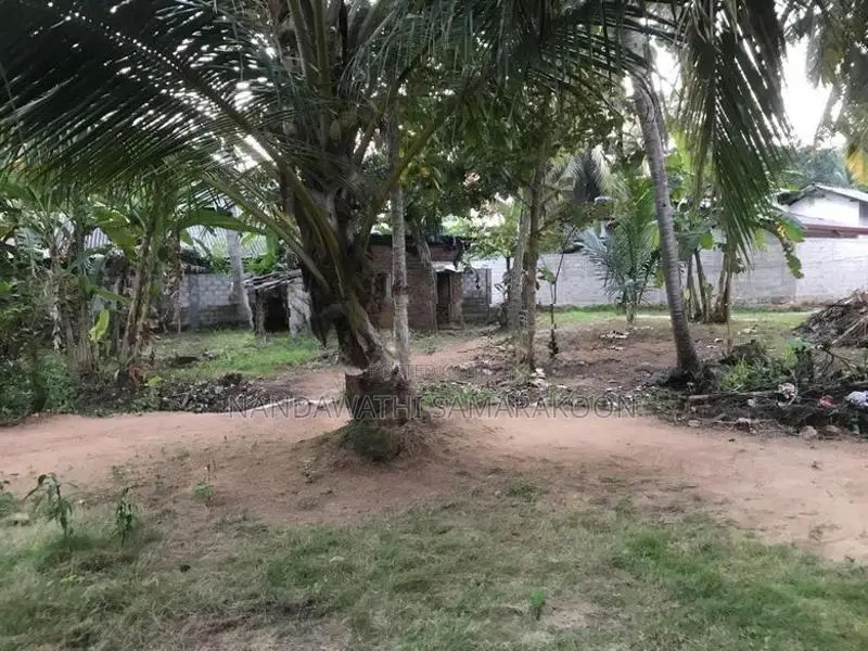 Land for Sale Thambuttegama