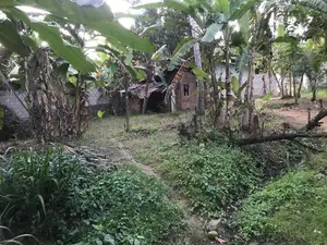 Land for Sale Thambuttegama