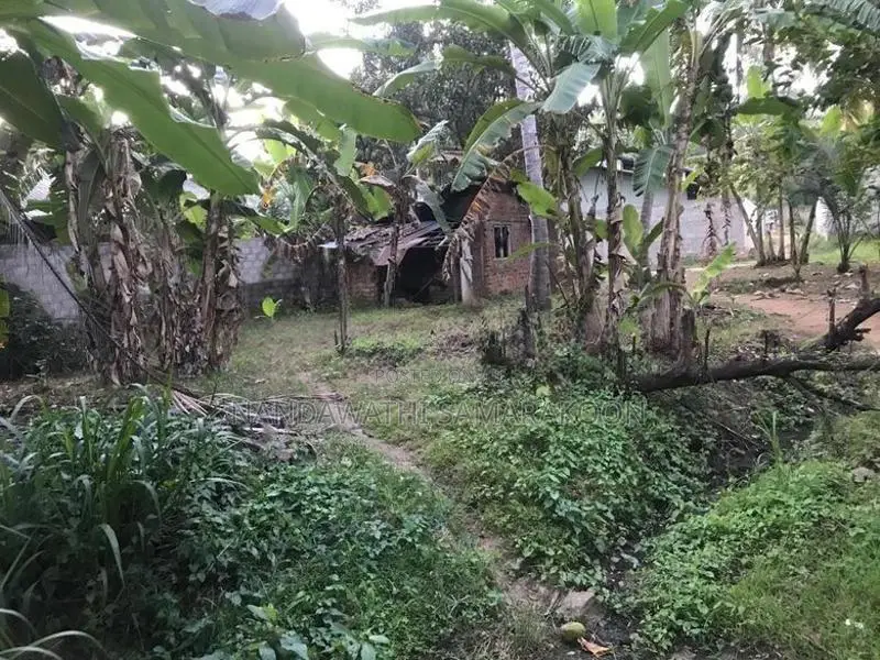 Land for Sale Thambuttegama