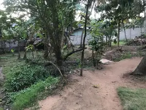 Land for Sale Thambuttegama