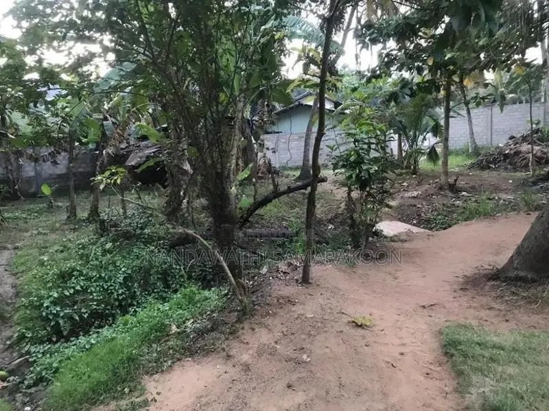 Land for Sale Thambuttegama