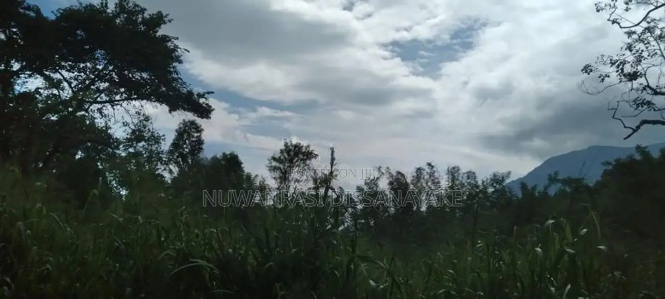 A Land for sale