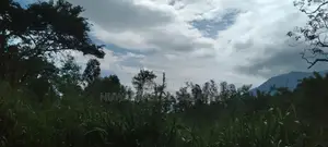 A Land for sale