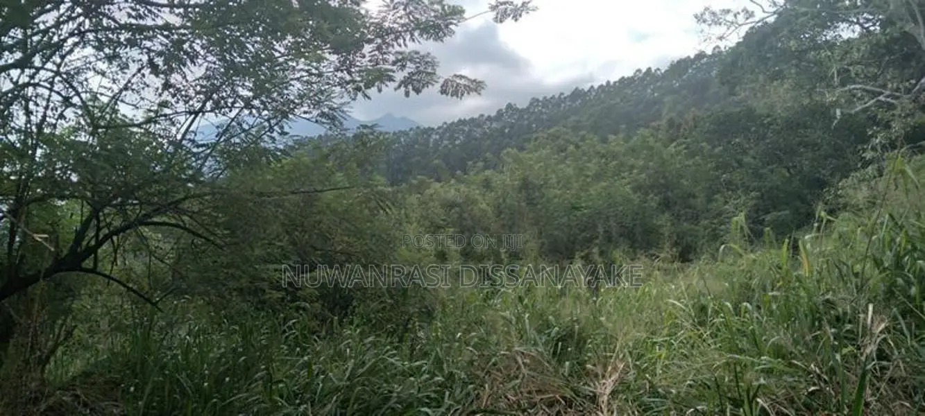 A Land for sale
