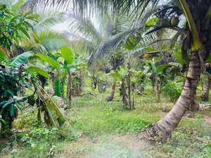 Coconut Land with House for Sale in Kekirawa