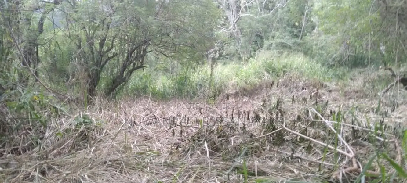 A Land for sale