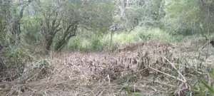 A Land for sale