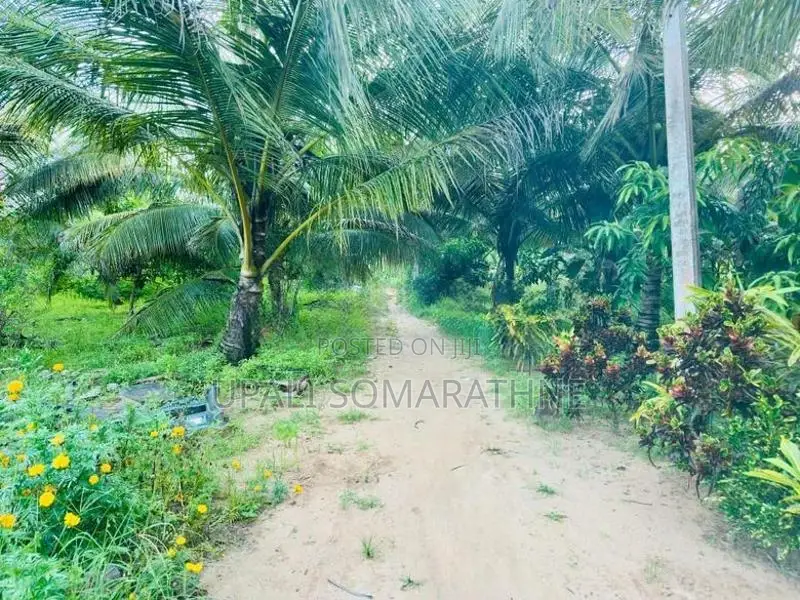 Coconut Land with House for Sale in Kekirawa