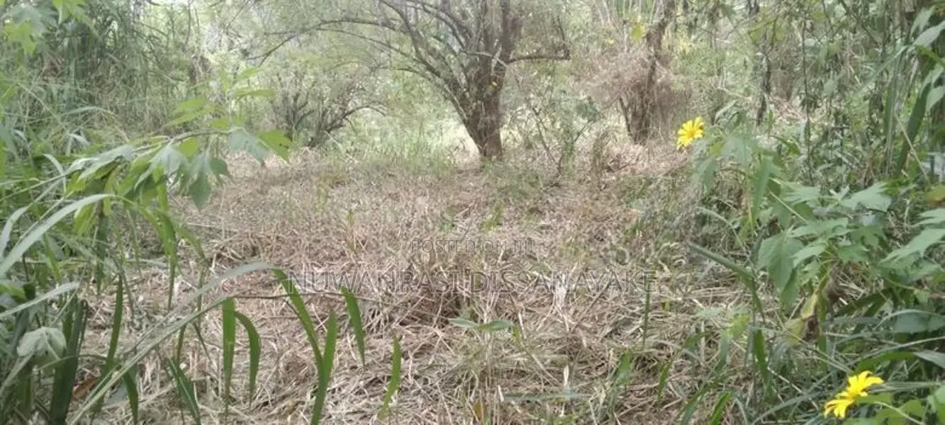 A Land for sale