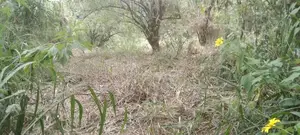 A Land for sale