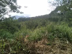 A Land for sale