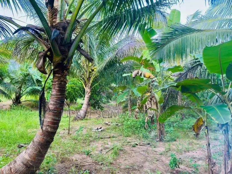 Coconut Land with House for Sale in Kekirawa