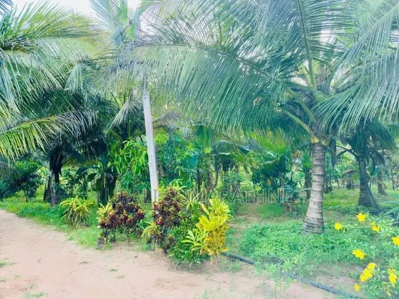 Coconut Land with House for Sale in Kekirawa