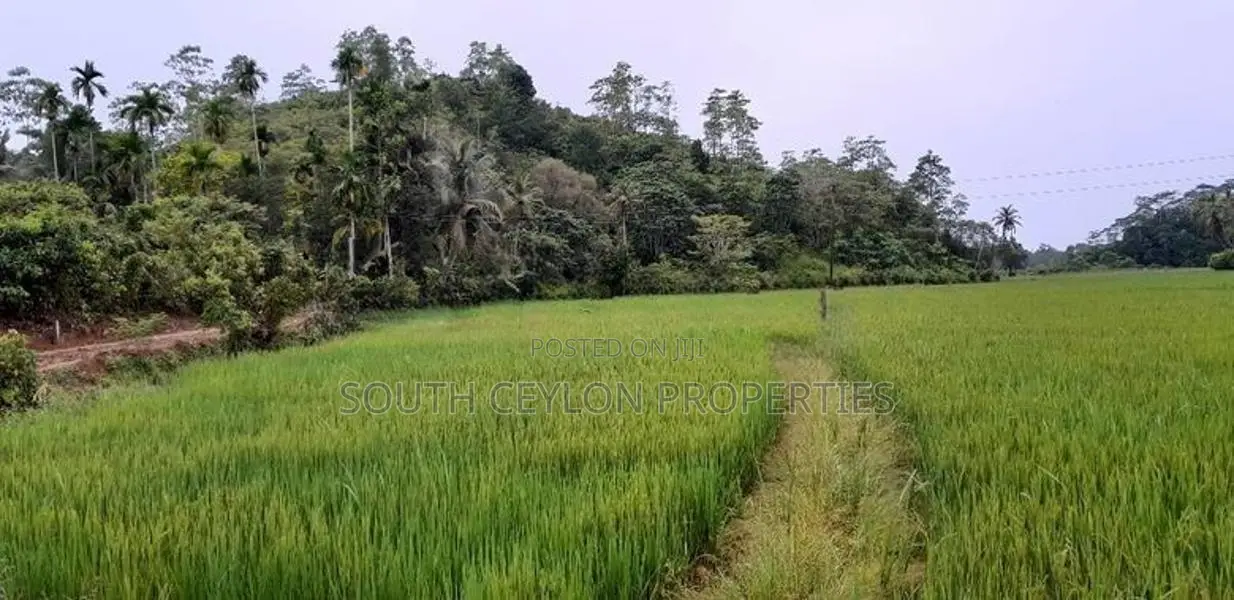 Ahangama Hillside Land for Sale