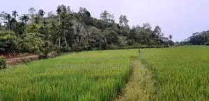 Ahangama Hillside Land for Sale