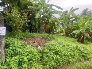 Land for Sale in Kadawatha