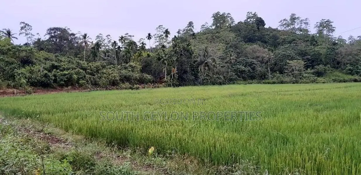 Ahangama Hillside Land for Sale