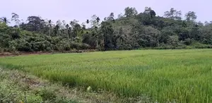 Ahangama Hillside Land for Sale